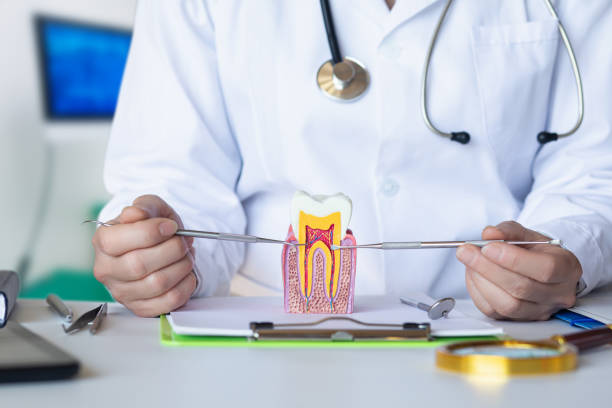 Best Emergency Orthodontic Repairs in Woodburn, VA