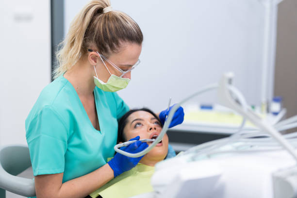 Best Emergency X-Rays and Diagnostics in Woodburn, VA